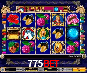 Cassino ao vivo com dealers reais na 775BET